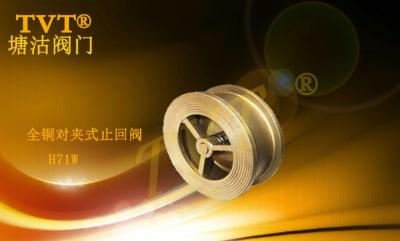 全銅對(duì)夾式止回閥